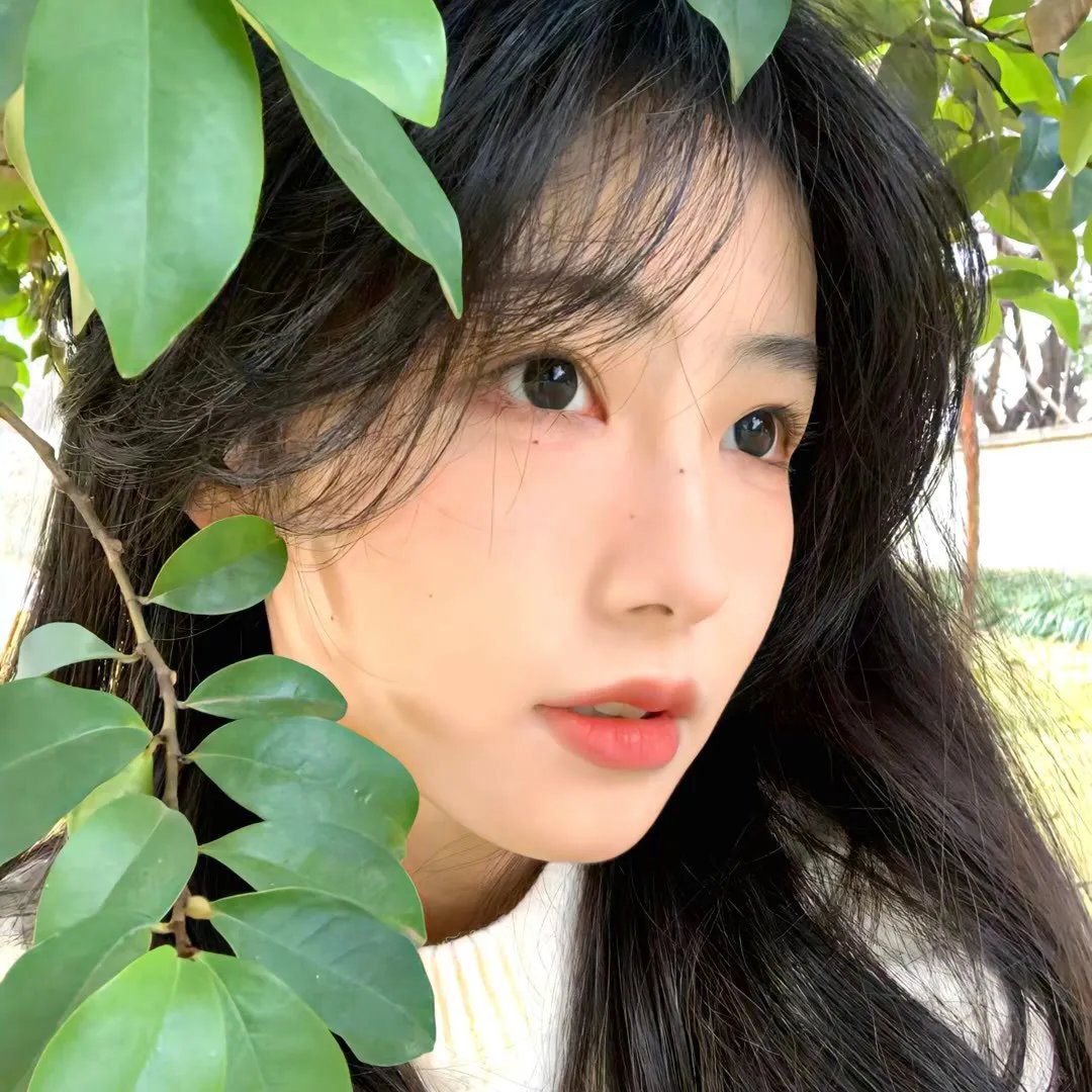 新忠烈图